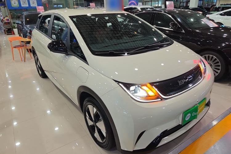 BYD Dolphin 2023 — 3