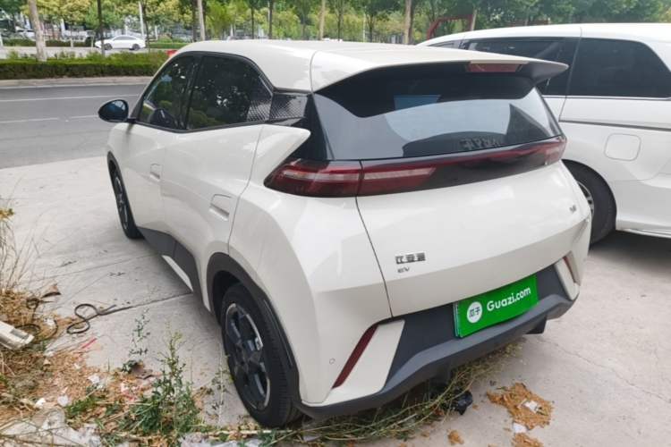 BYD Seagull 2024 — 4