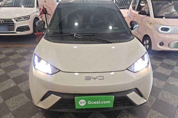 BYD Seagull 2024 — 2