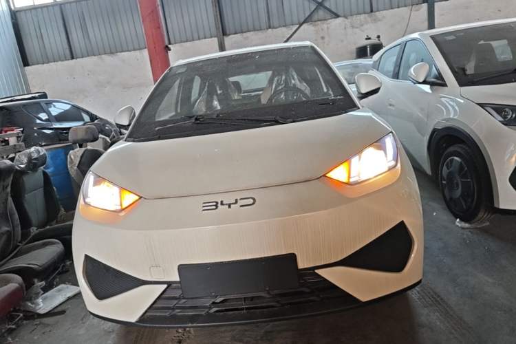 BYD Seagull 2025 — 2