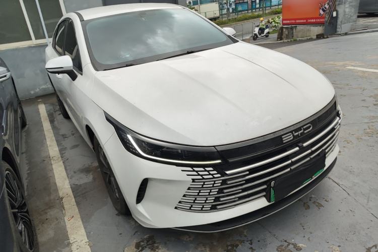 BYD Destroyer 05 2024 — 3