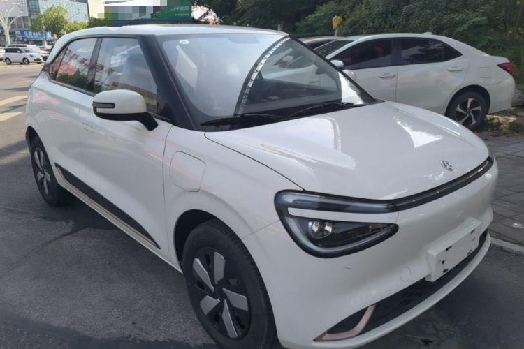 DongFeng NAMMI 01 2026 — 3