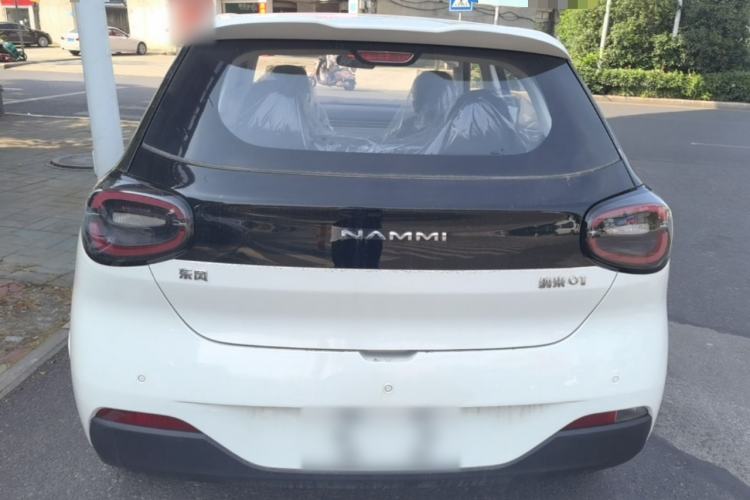 DongFeng NAMMI 01 2026 — 5
