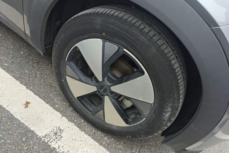 BYD Dolphin 2023 — 5