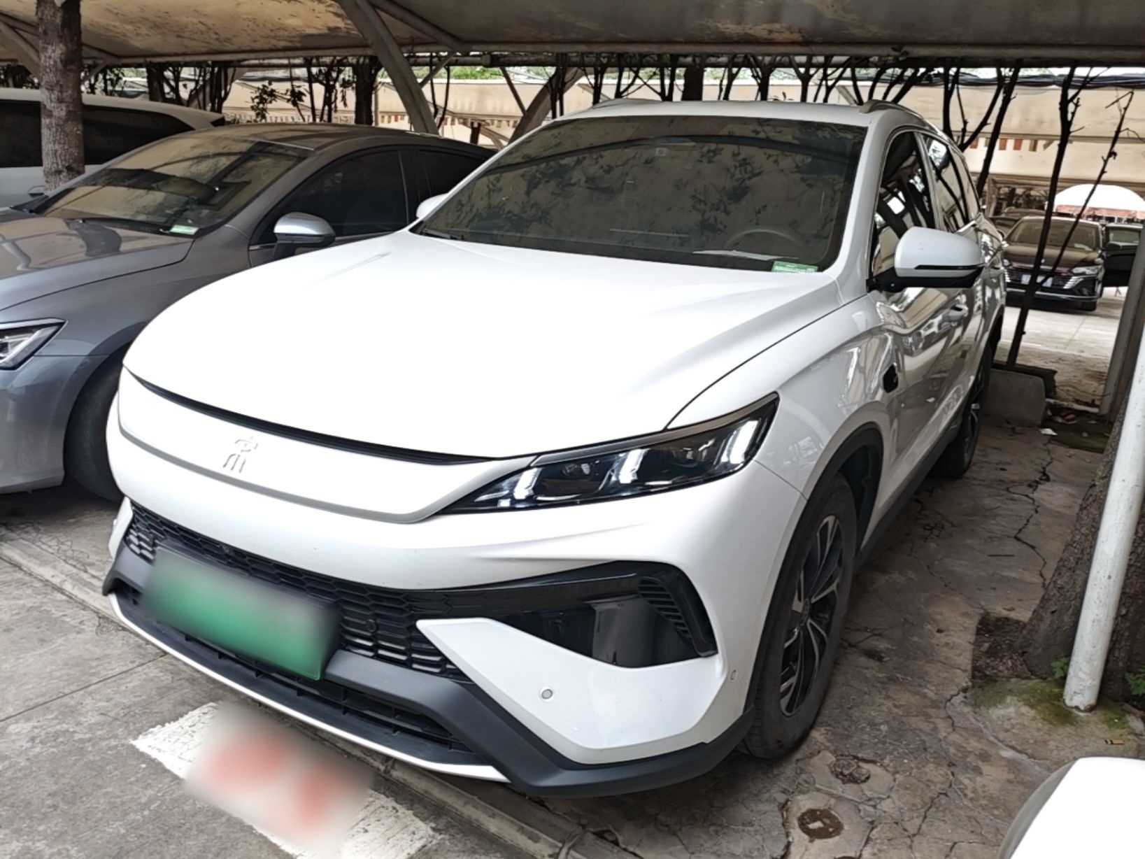 BYD song pro new energy 2025 — фото 1