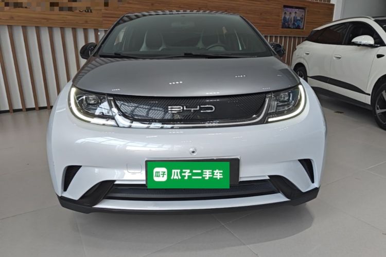 BYD Dolphin 2021 — 2