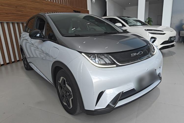 BYD Dolphin 2021 — 3