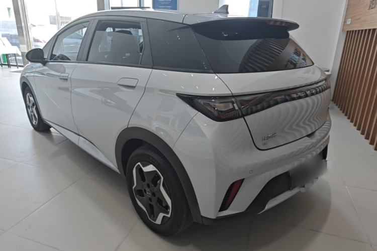 BYD Dolphin 2021 — 4