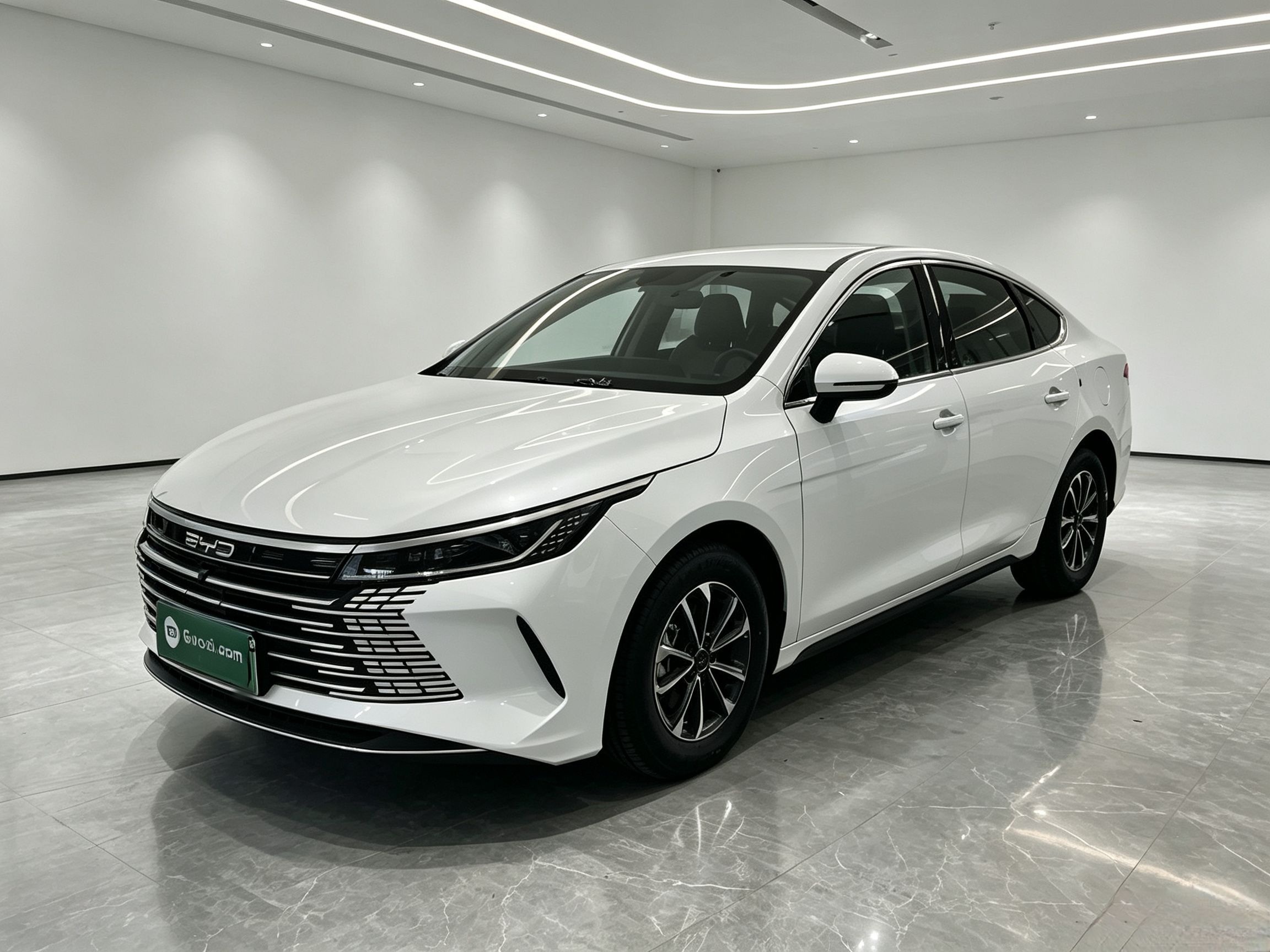 BYD Destroyer 05 2024 — фото 1