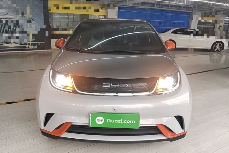 BYD Dolphin 2021 — 2