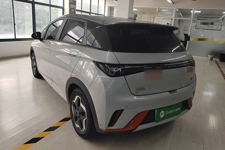 BYD Dolphin 2021 — 4