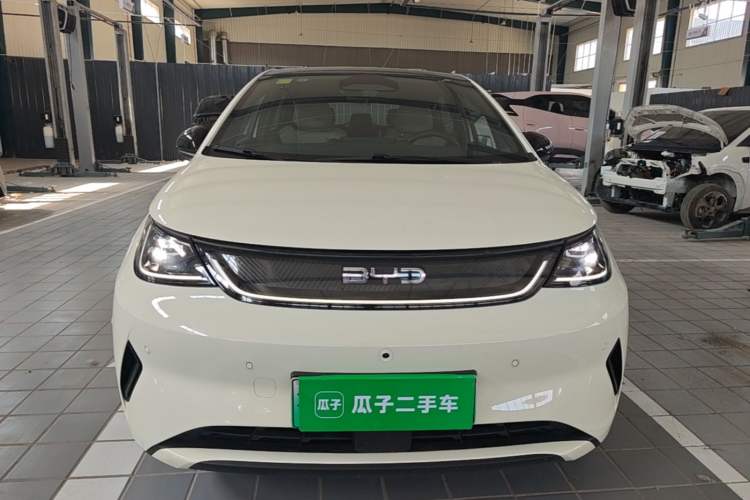 BYD Dolphin 2025 — 2
