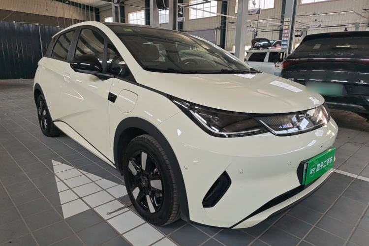 BYD Dolphin 2025 — 3