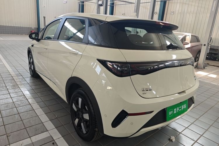 BYD Dolphin 2025 — 4
