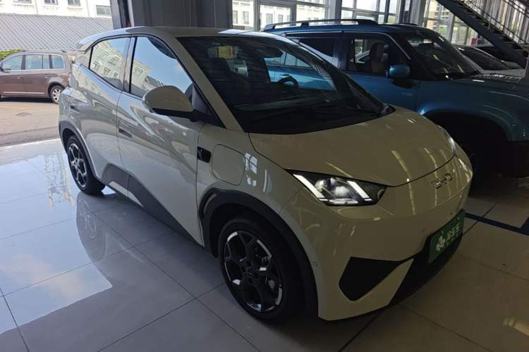 BYD Seagull 2025 — 3