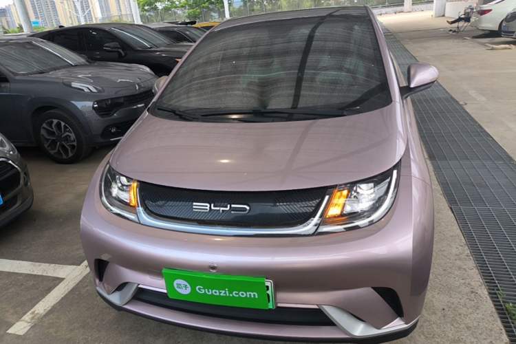 BYD Dolphin 2021 — 2
