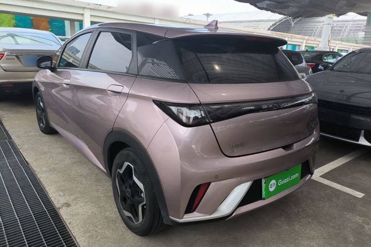 BYD Dolphin 2021 — 4