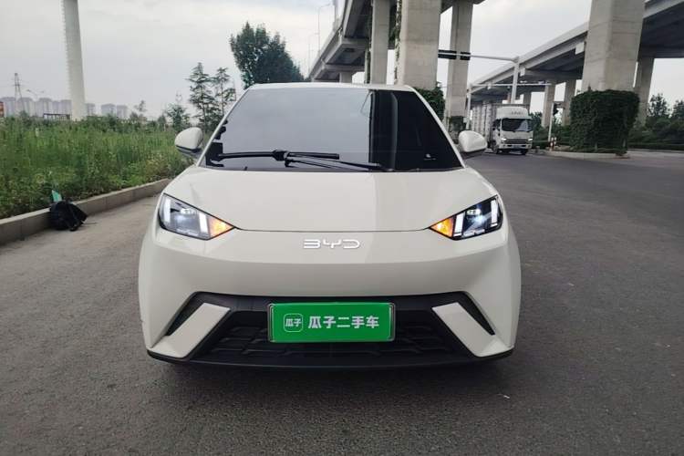 BYD Dolphin Mini 2025 — 2