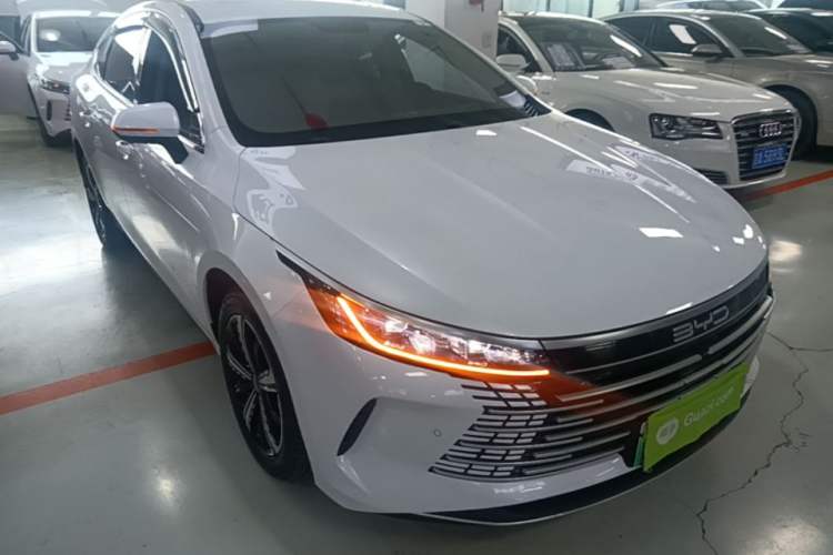 BYD Destroyer 05 2023 — 3