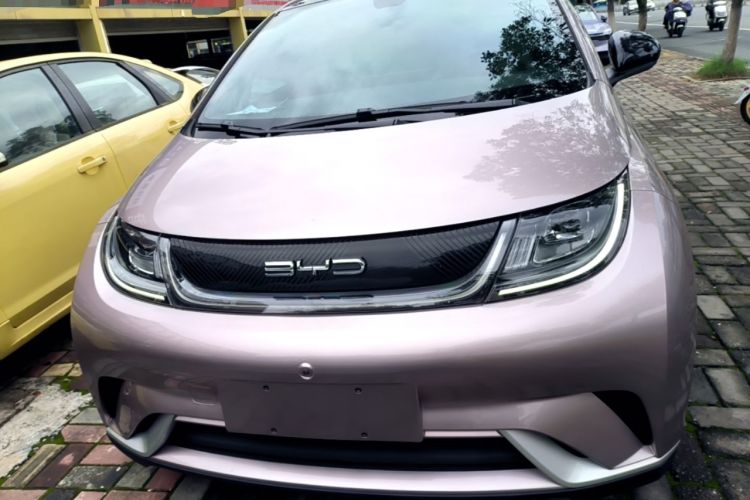 BYD Dolphin 2021 — 2