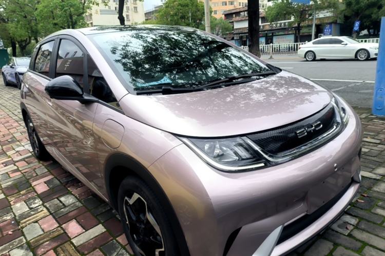 BYD Dolphin 2021 — 3