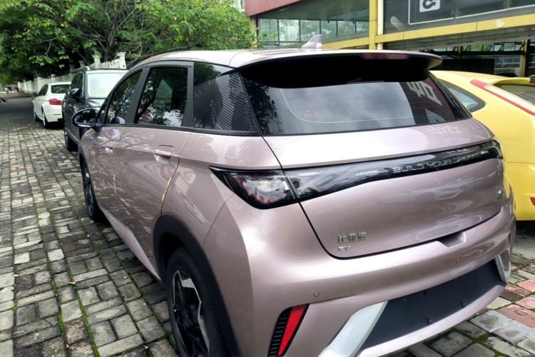BYD Dolphin 2021 — 4
