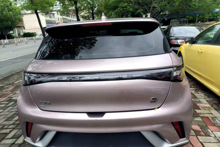 BYD Dolphin 2021 — 5