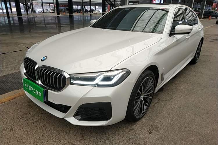 BMW 530Li 2022 — фото 1
