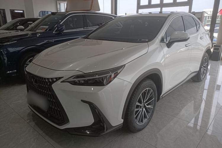 Lexus NX 260 2022 — фото 1