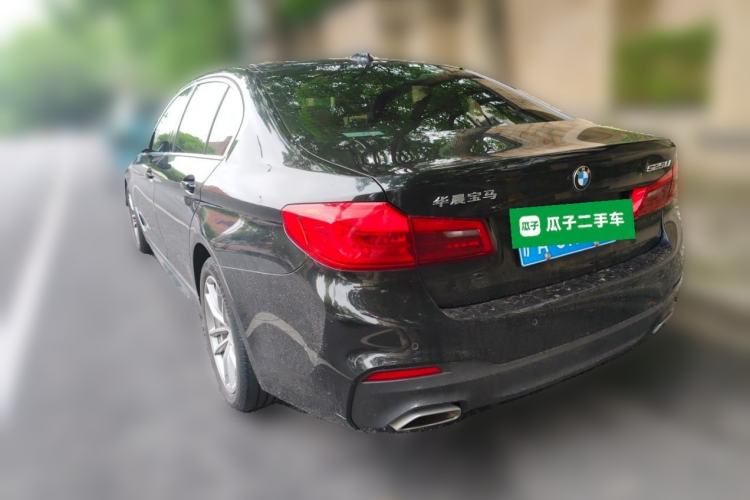 BMW 525Li 2020 — фото 4