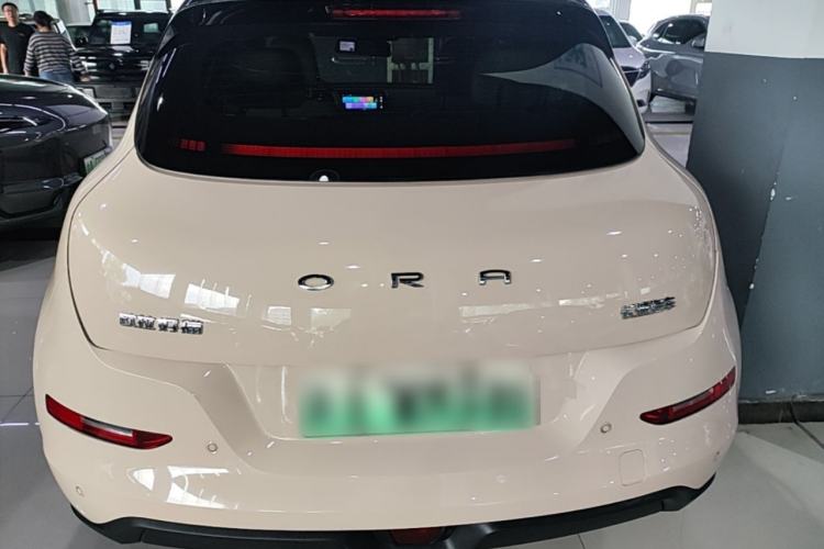 Ora Good Cat 2022 — 5