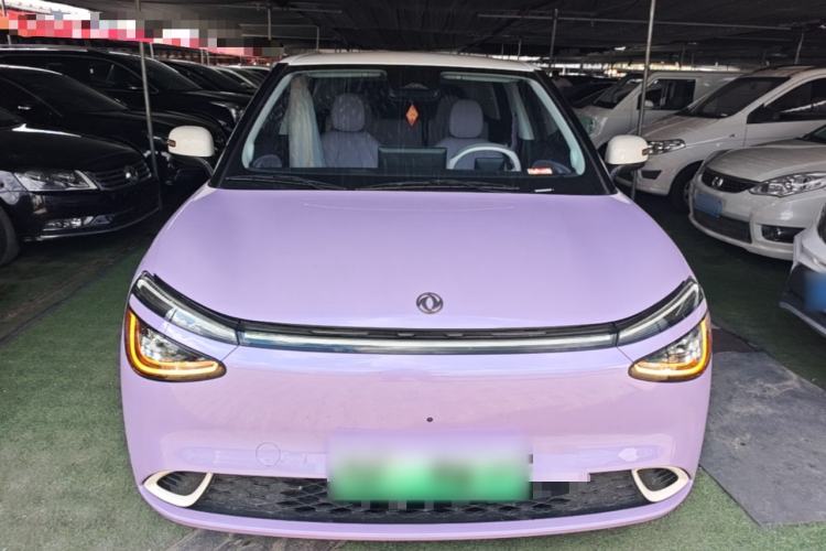 DongFeng NAMMI 01 2024 — 2