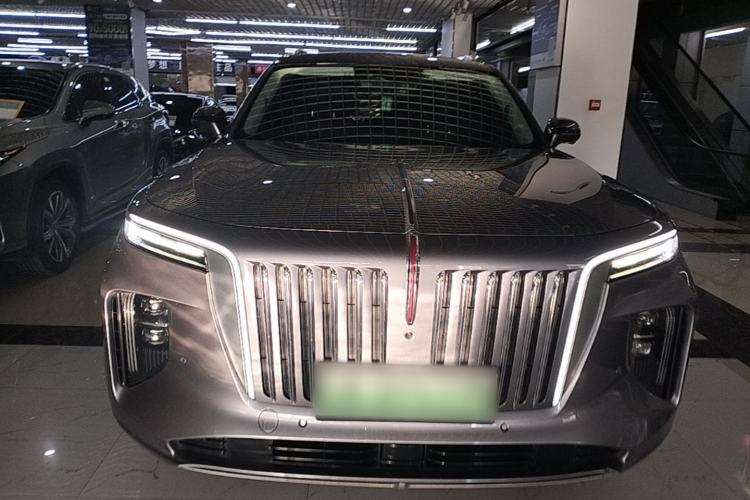Hongqi E-HS9 2021 — 2
