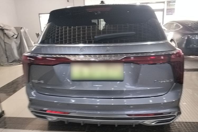 Hongqi E-HS9 2021 — 5