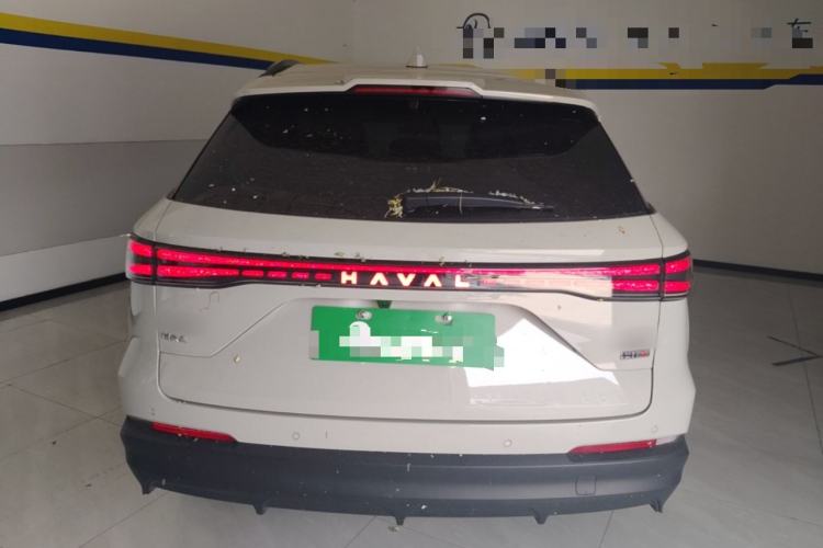 Haval Fierce Dragon Max 2025 — 5