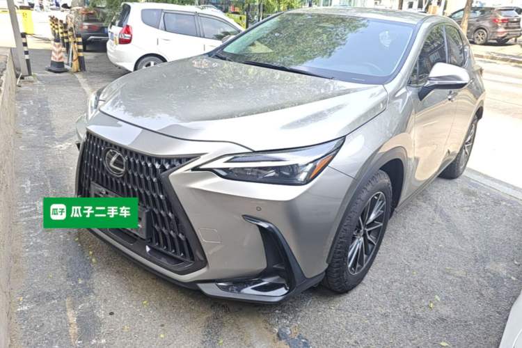 Lexus NX 260 2022 — фото 1