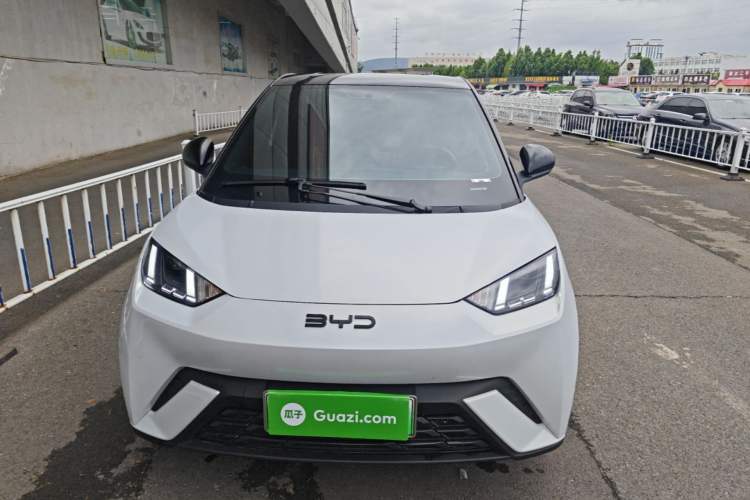 BYD Dolphin Mini 2025 — 2