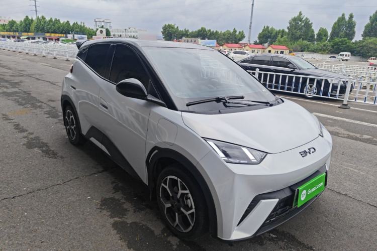 BYD Dolphin Mini 2025 — 3