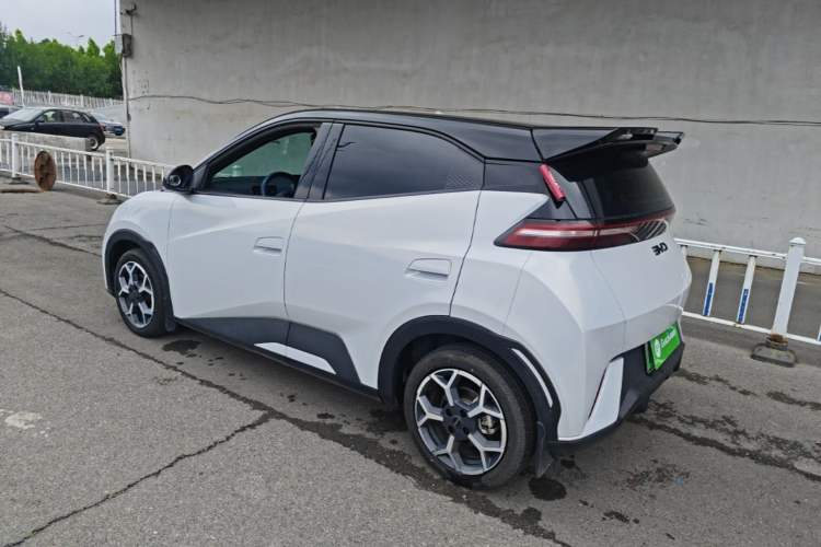 BYD Dolphin Mini 2025 — 4
