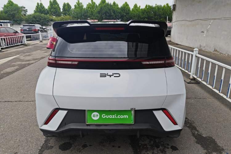 BYD Dolphin Mini 2025 — 5