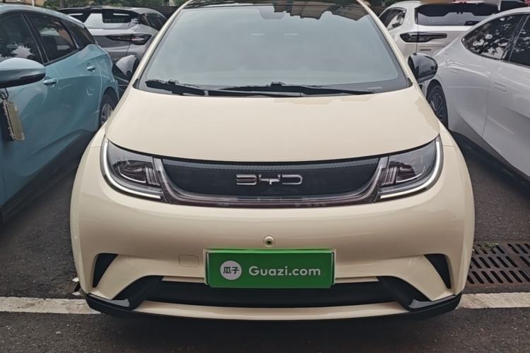BYD Dolphin 2021 — 2