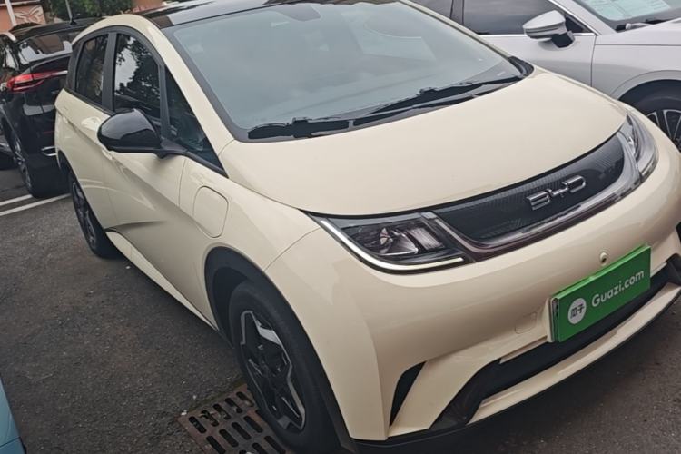 BYD Dolphin 2021 — 3