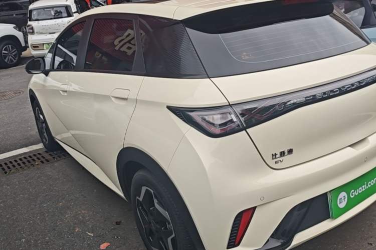 BYD Dolphin 2021 — 4