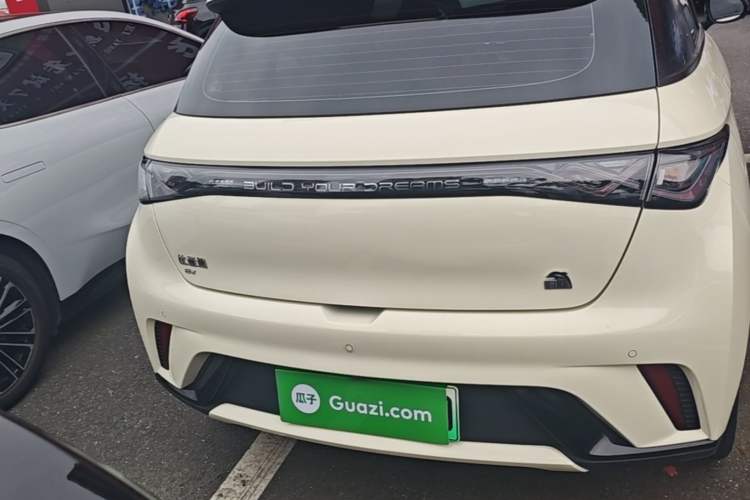 BYD Dolphin 2021 — 5