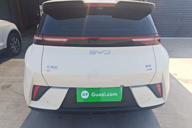 BYD Seagull 2025 — 5
