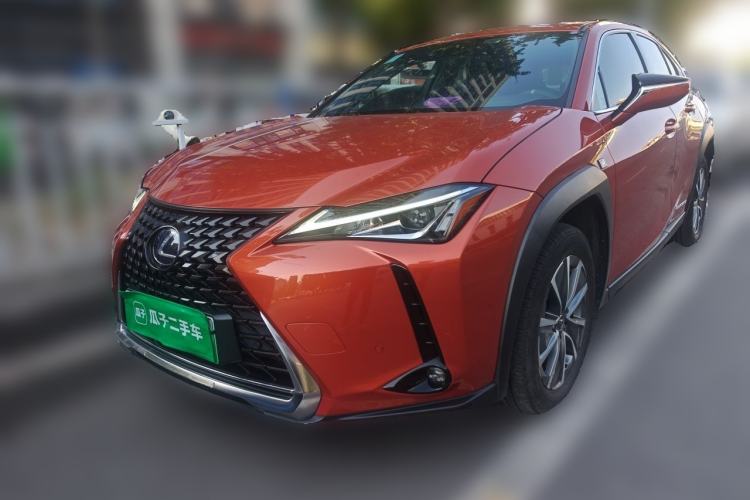 Lexus UX 300e 2020 — фото 1