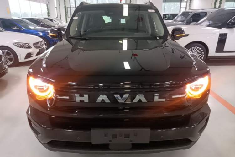 Haval H Dog New Energy 2026 — 2