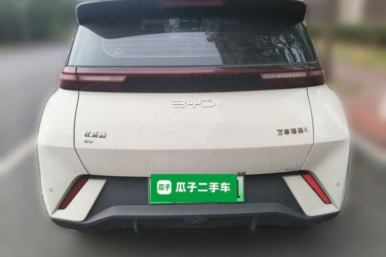 BYD Dolphin Mini 2025 — 5