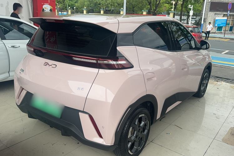 BYD Dolphin Mini 2025 — 5