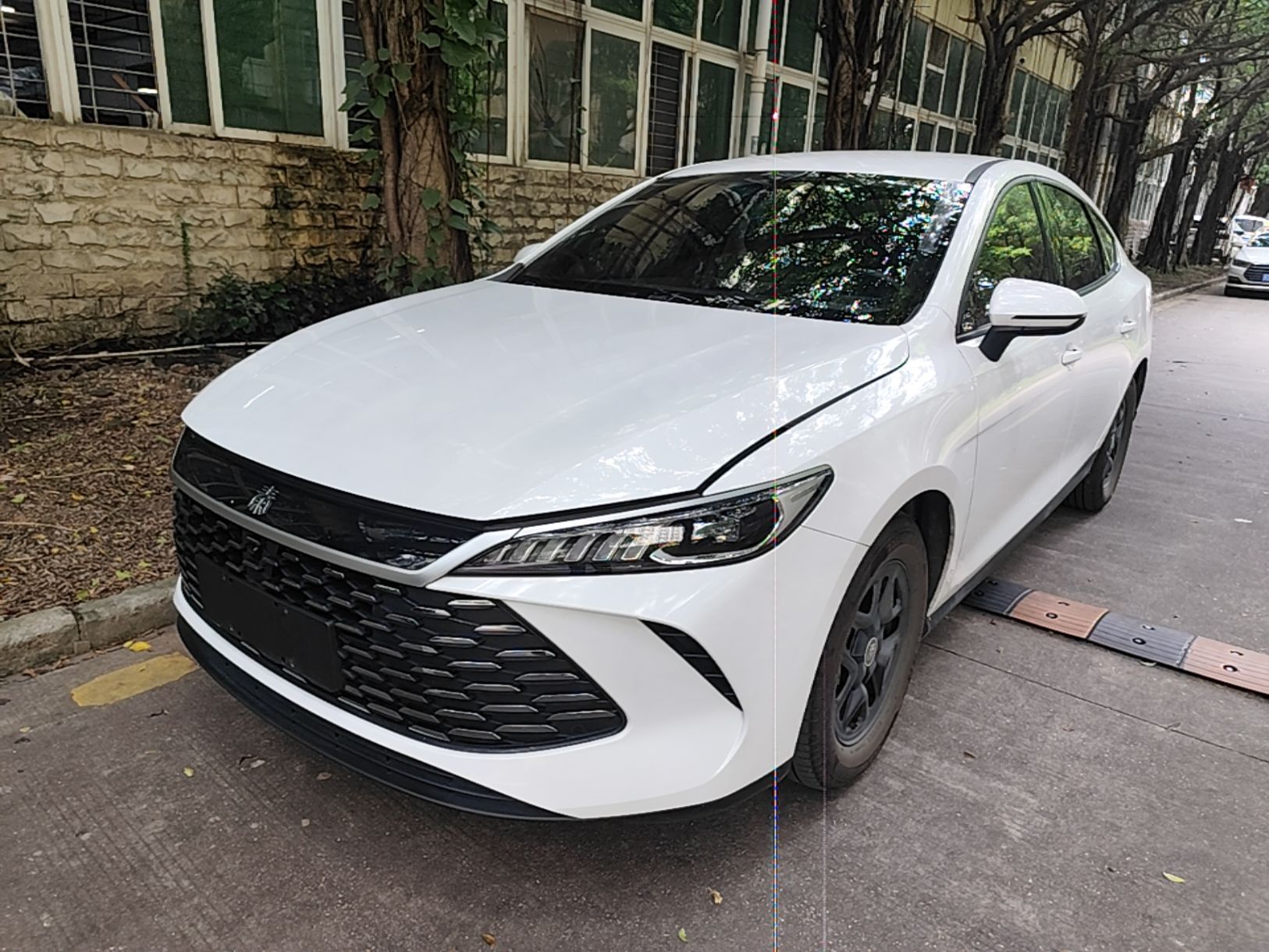 BYD Qin PLUS 2025 — фото 1
